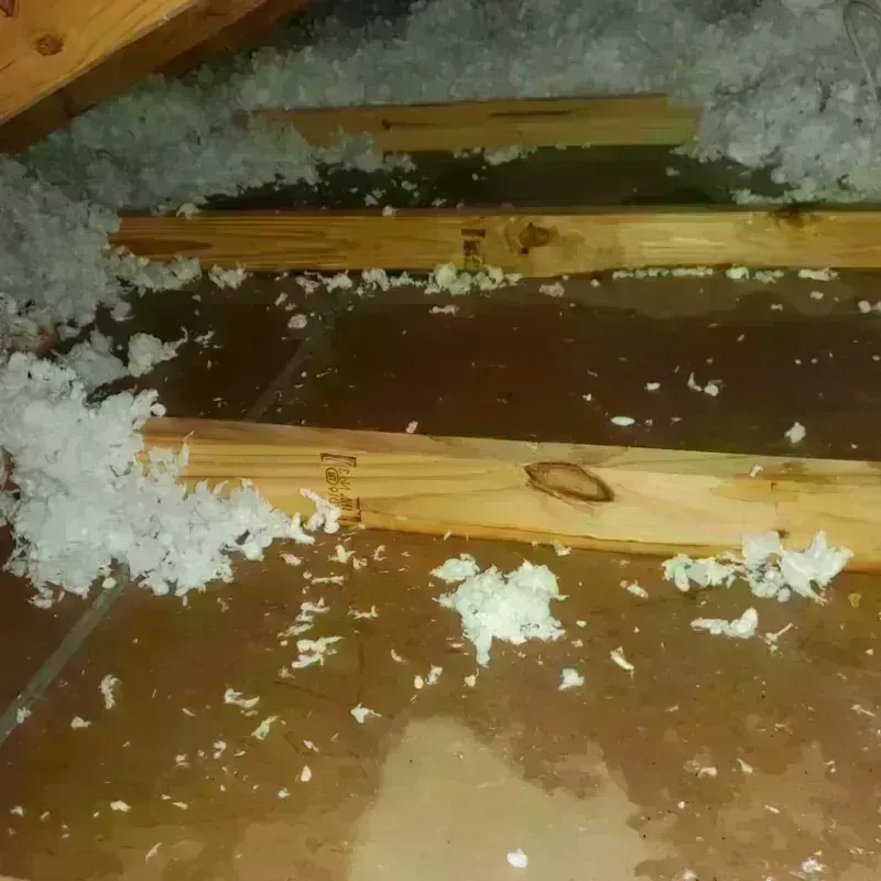 Attic Water Damage in Meridian, CO