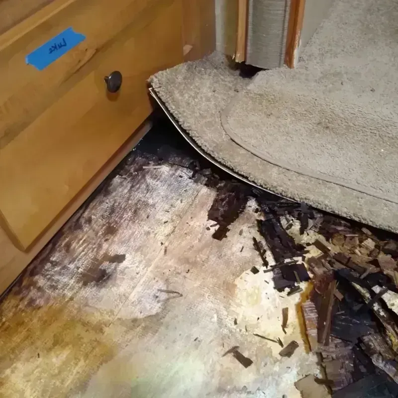 Wood Floor Water Damage in Meridian, CO